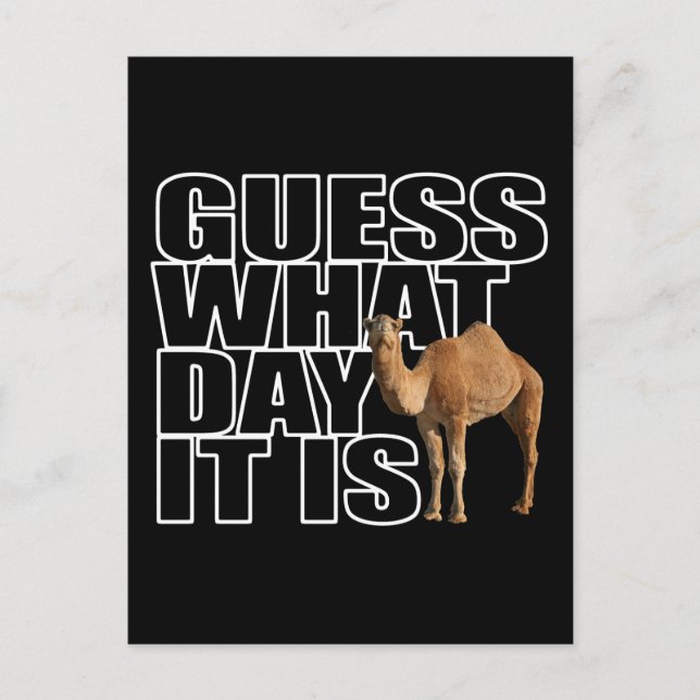 Carte Postale Devinez Quel Jour C'Est Hump Day Camel (Devant)