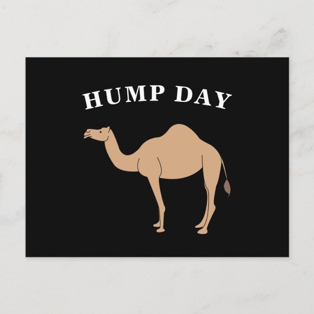 Carte Postale Devinez Quel Jour C'Est Hump Day Camel Desert Anim (Devant)
