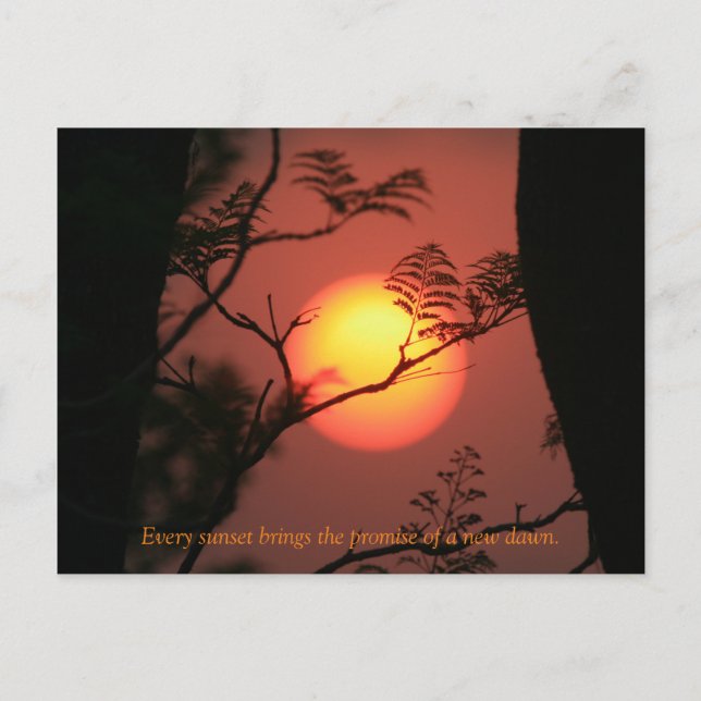 Carte Postale Devis Inspiration Sunset (Devant)