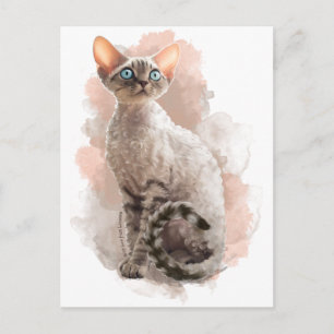 Carte Postale Devon Rex Sofi