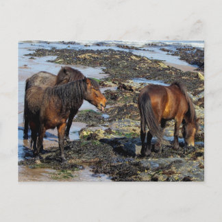 Carte Postale Devon Trois Ponts Dartmoor Profitant De La Plage
