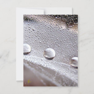 Carte Postale Dew Drops sur Spider Web Galaxy Nature