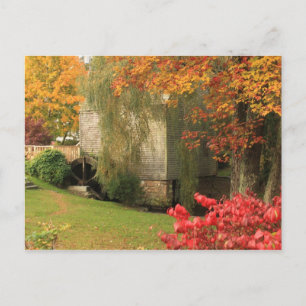 Carte Postale Dexter Grist Mill Sandwich Cape Cod