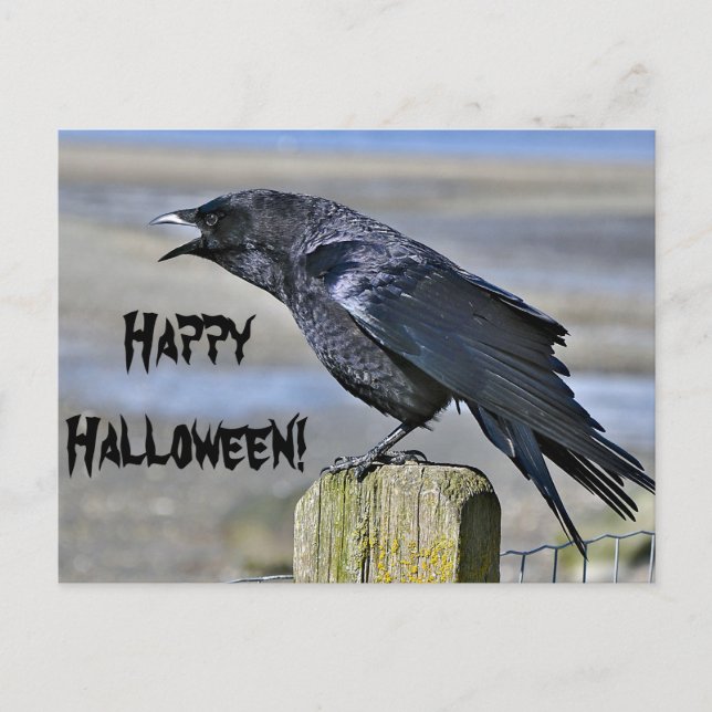 Carte postale d'halloween de croix noire (Devant)