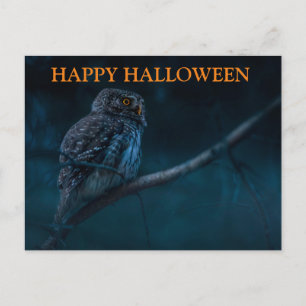 Carte postale d'Halloween effrayante avec des hibo