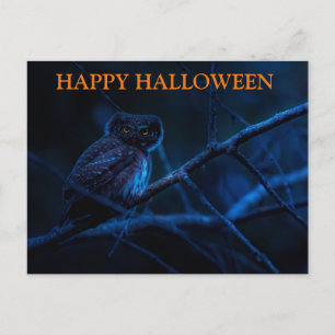 Carte postale d'Halloween effrayante avec des hibo