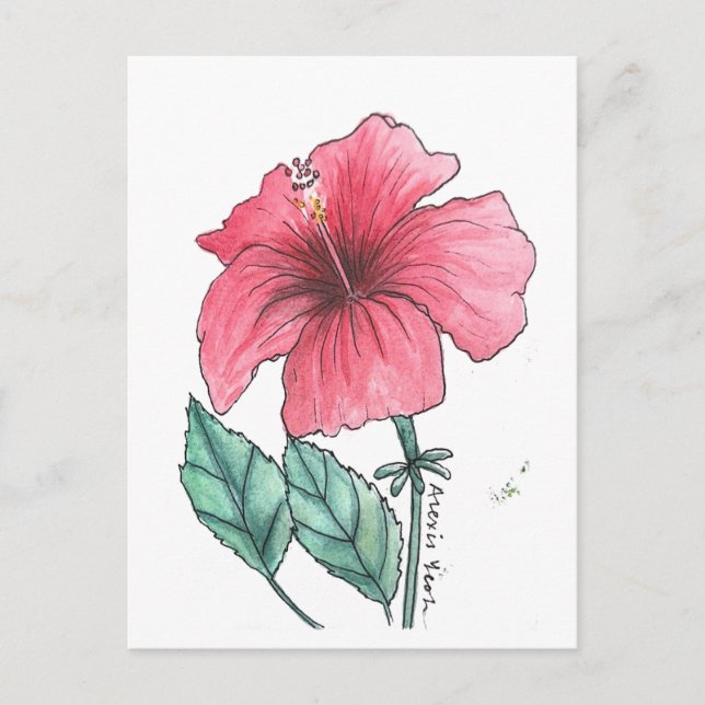 carte postale d'hibiscus (Devant)