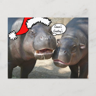 Carte postale d'hippopotame de Père Noël de Noël