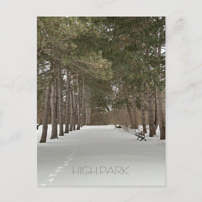 Carte postale d'hiver à High Park, Toronto (Devant)
