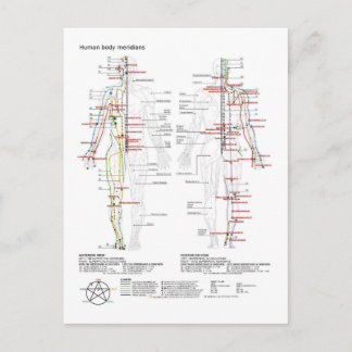 Carte Postale  Diagram Schematic Chinese Meridians Human Body 