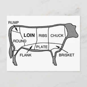 Carte Postale Diagramme de boeuf