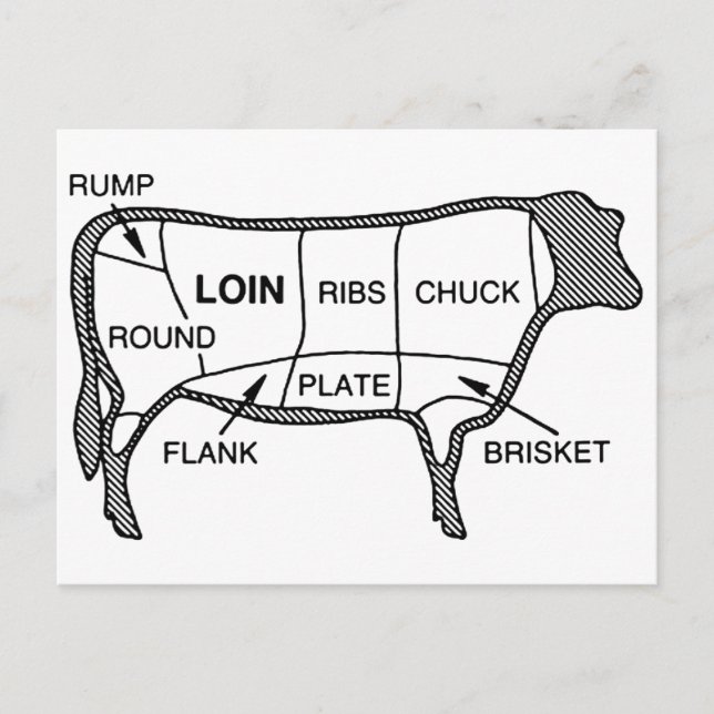 Carte Postale Diagramme de boeuf (Devant)