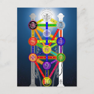 Carte Postale Diagramme de la structure de l'arbre de vie de la 