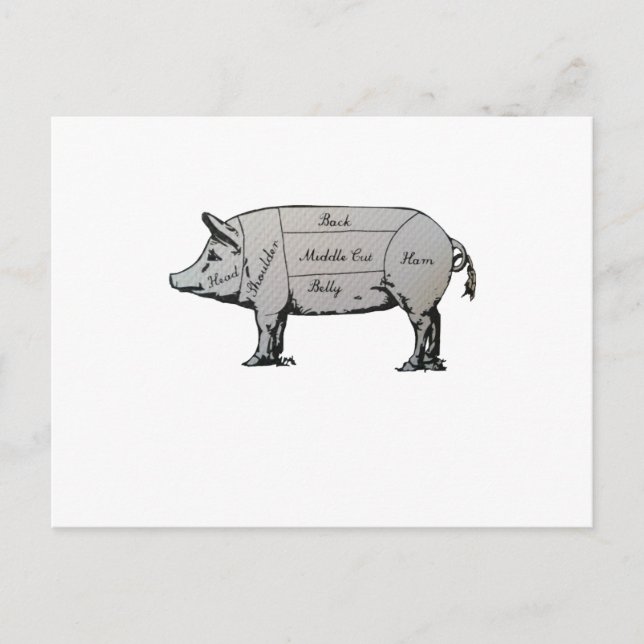 Carte Postale Diagramme de porc (Devant)