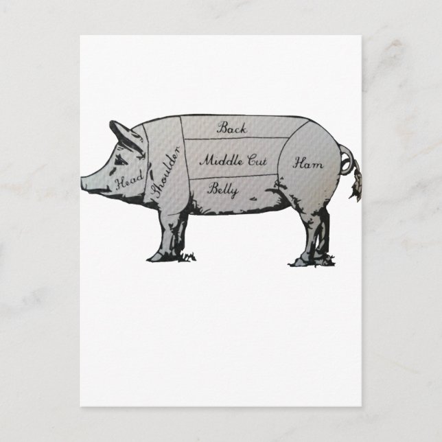 Carte Postale Diagramme de porc (Devant)