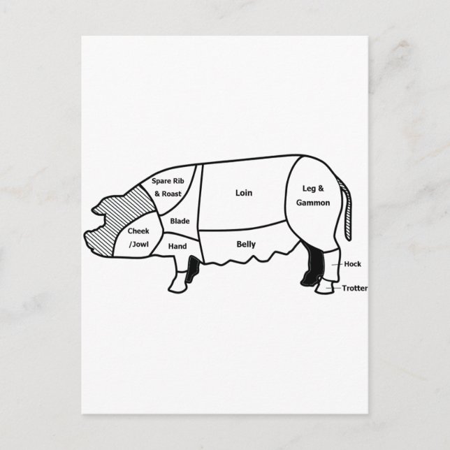 Carte Postale Diagramme de porc (Devant)