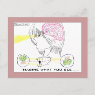 Carte Postale Diagramme de vision oculaire de base