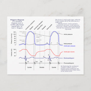 Carte Postale Diagramme de Wiggers