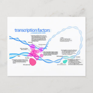 Carte Postale Diagramme des facteurs de transcription des gènes