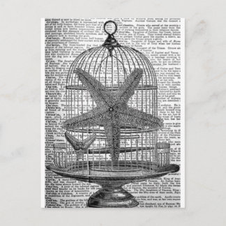 Carte Postale dictionnaire de plage imprimer steampunk Birdcage 