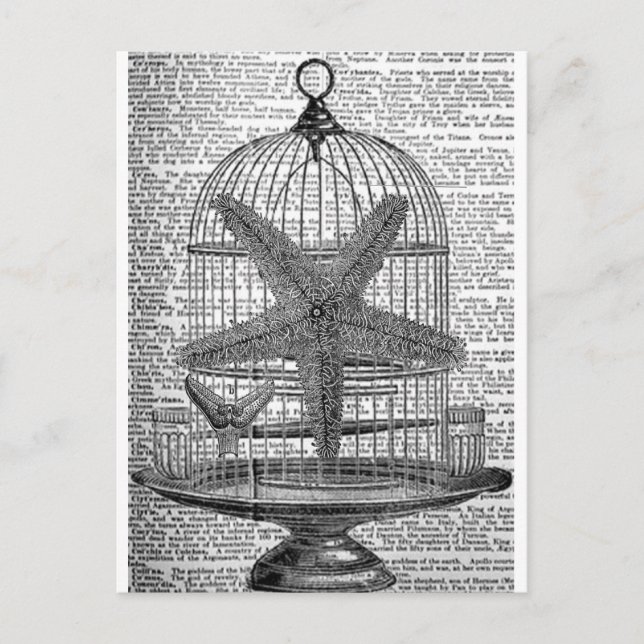 Carte Postale dictionnaire de plage imprimer steampunk Birdcage  (Devant)