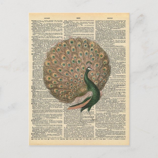Carte Postale Dictionnaire vintage Art magnifique Peacock Bird (Devant)
