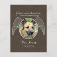 Dieu a envoyé un animal de compagnie Angel Sympath