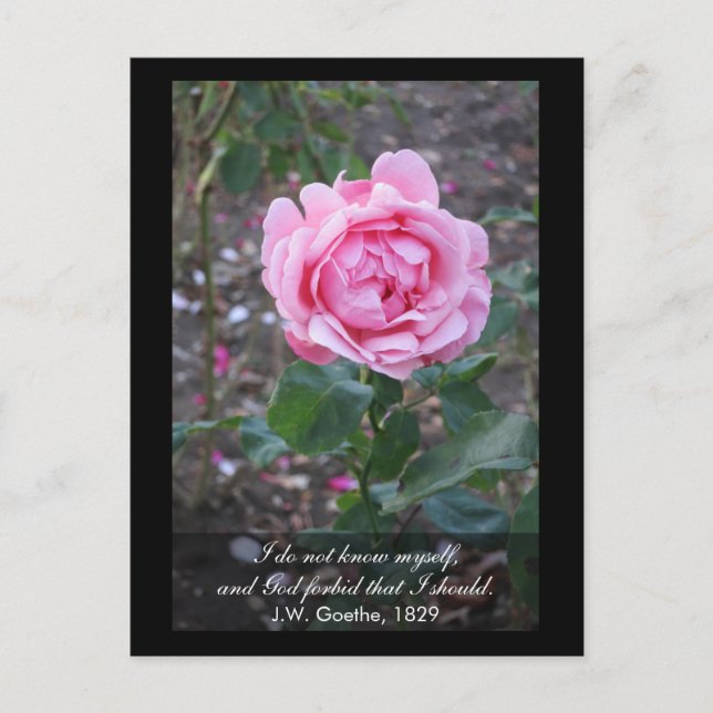 Carte Postale Dieu m'interdit de me connaître - Goethe cite (Devant)