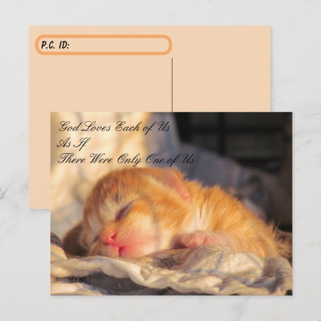 Carte postale - Dieu nous aime avec Kitten (Devant / Derrière)