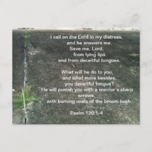 Carte Postale Dieu vous protège des menteurs