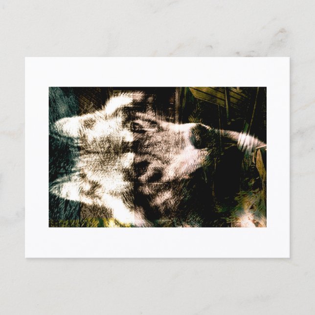 Carte Postale Digital Remix Art : Wolf Postcard Print by JHT (Devant)