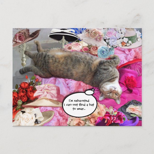 Carte Postale Dilemme de Princess Tatus Cat (Devant)