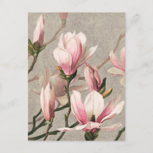 Carte postale d'illustration botanique vintage