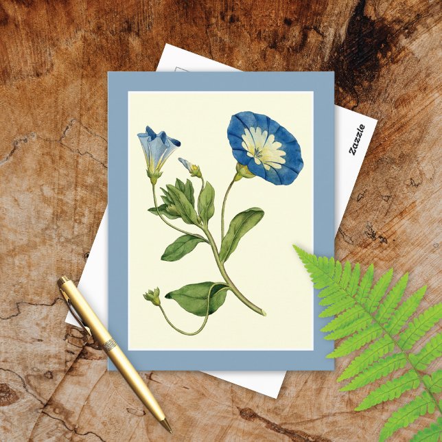 Carte postale d'illustration de la liane de volubi (Créateur téléchargé)