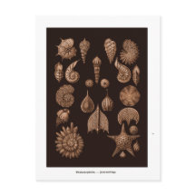 Carte postale d'illustration de la vie marine vint