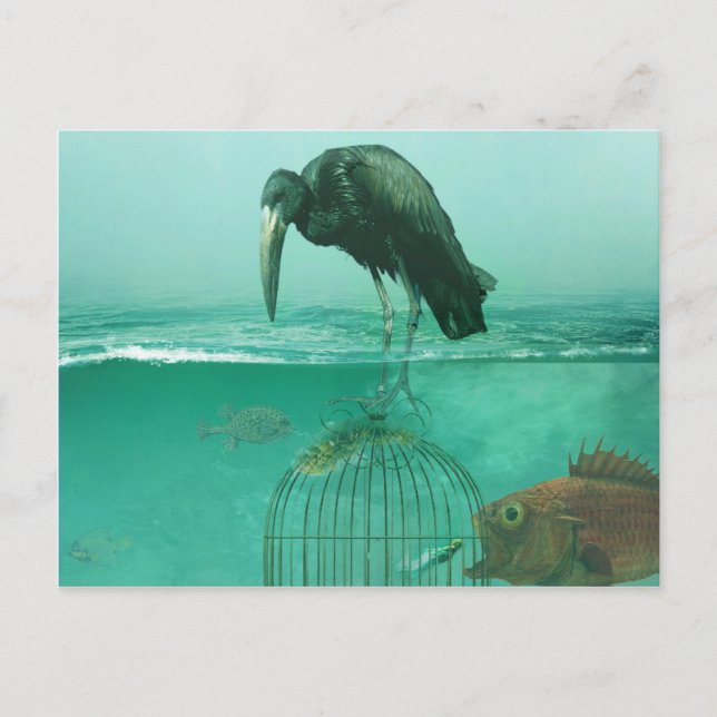 Carte Postale dimension alternative (Devant)