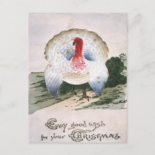 Carte Postale Dinde de Noël Antique (Devant)