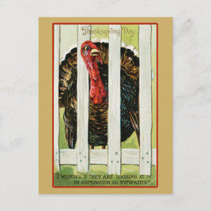 Carte Postale Dinde de Thanksgiving vintage