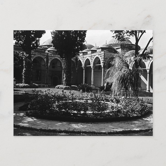 Carte Postale Dinde de Turquie Istanbul Musée de Topkapi (Devant)