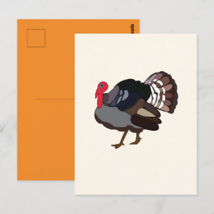 Carte Postale Dinde Oiseau Dinde