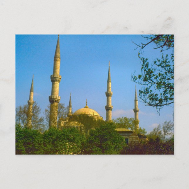 Carte Postale Dinde Turquie - Mosquée d'Istanbul (Devant)