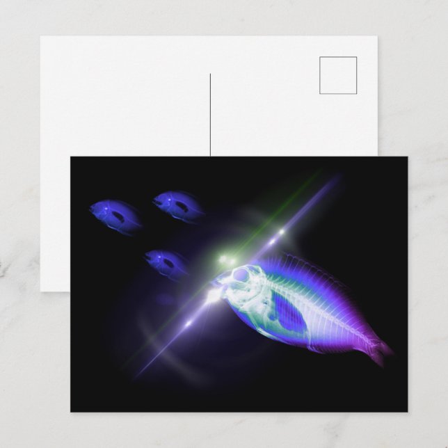 Carte Postale Dîner de chasse Poisson X-Ray 3 (Devant / Derrière)