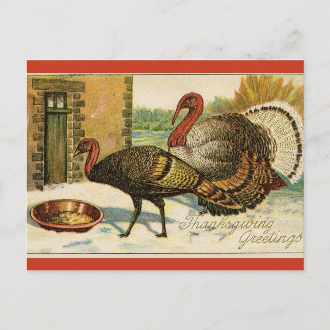 Carte Postale Dîners de Thanksgiving de dindes vintage (Devant)
