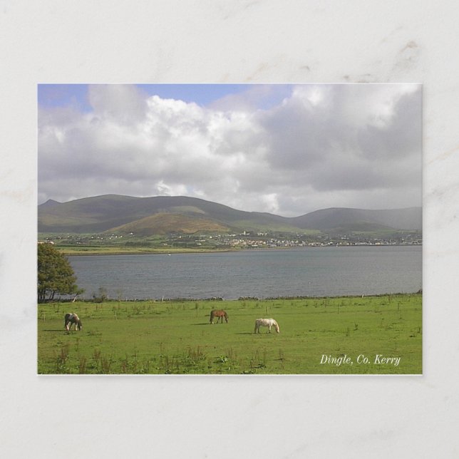 Carte Postale Dingle Bay, Co. Kerry (Devant)