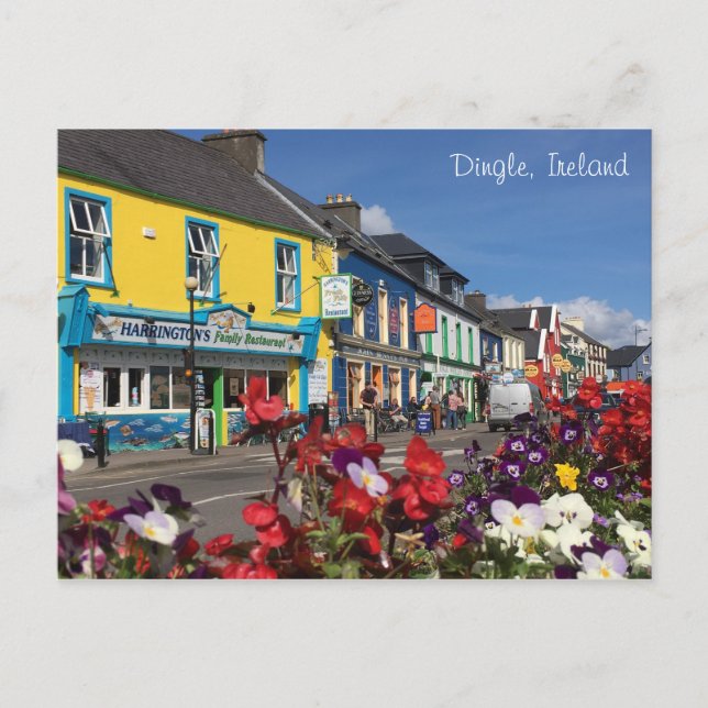 Carte Postale Dingle, Ireland Postcard (Devant)