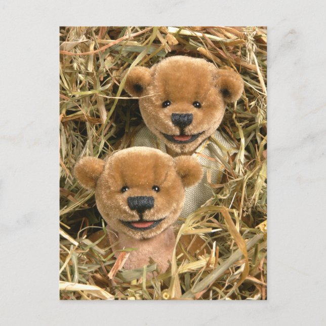 Carte Postale Dinky Bears Farmer Kids (Devant)