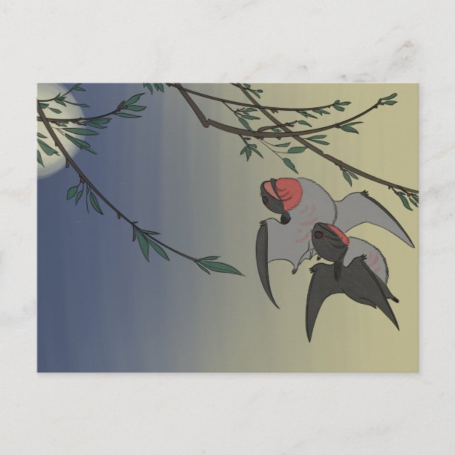 Carte postale Dinosaur - Anurognathus (Devant)