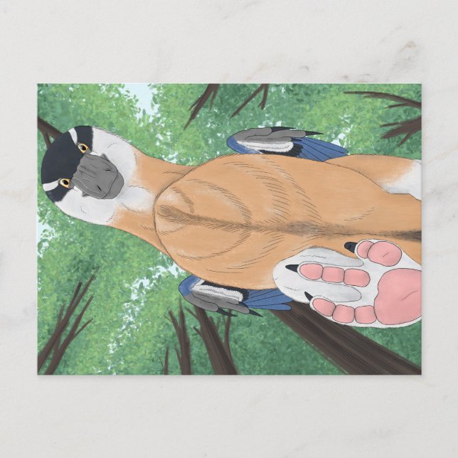 Carte postale Dinosaur - Dromaeopodus (Devant)