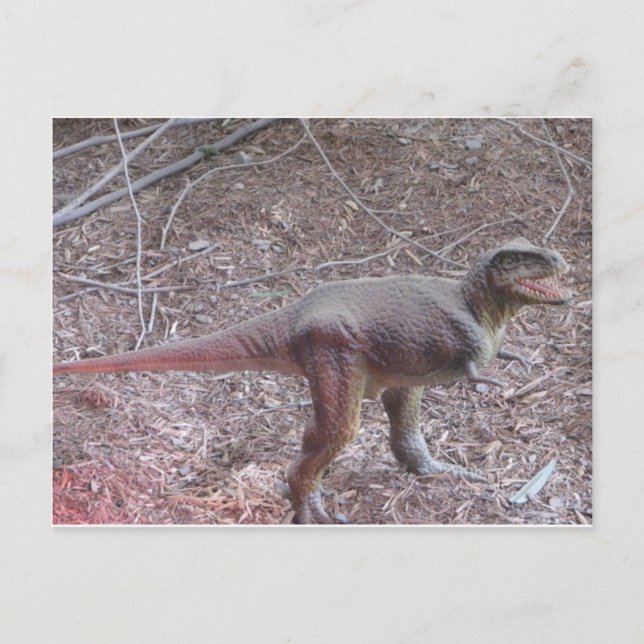 Carte Postale dinosaure (Devant)