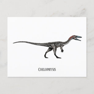 Carte Postale dinosaure de coélophyse
